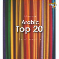 Top 20